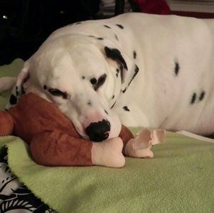 Meet your Posher, Pina